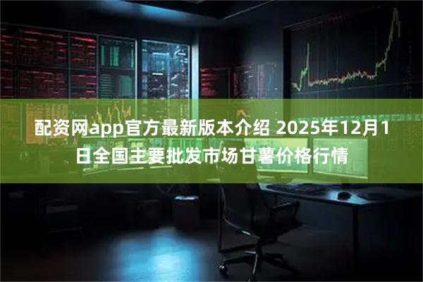 配资网app官方最新版本介绍 2025年12月1日全国主要批发市场甘薯价格行情