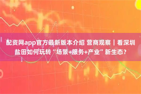 配资网app官方最新版本介绍 营商观察｜看深圳盐田如何玩转“场景+服务+产业”新生态？